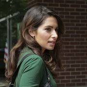 Person of Interest S03E22: Rache auf Eis (A House Divided)