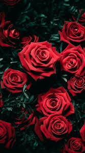 Последние твиты от blackpink rosé 로제 (@roses_are__rose). 45 Screen Wallpaper Ideas Screen Wallpaper Wallpaper Aesthetic Wallpapers