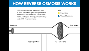 If a plant cell is surrounded by a solution that contains a lower concentration of water molecules than the solution inside the plant cell, water will leave the cell by osmosis and the plant cell will become flaccid (soft). Learn What Is Reverse Osmosis And Reverse Osmosis Systems