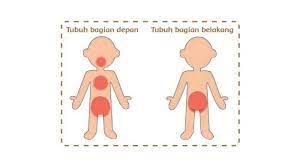 Jawaban buku paket bahasa jawa kelas 8 halaman 57. 2k5ugs 3lkjukm