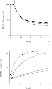 Plant cell walls are primarily composed of phospholipids. Translocation Of Phospholipids Is Facilitated By A Subset Of Membrane Spanning Proteins Of The Bacterial Cytoplasmic Membrane Journal Of Biological Chemistry