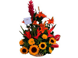 Maybe you would like to learn more about one of these? Floresdelcaribesantamarta Com Flores En Santa Marta