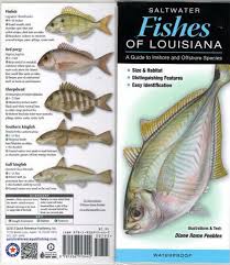 Book On North American Fishes Fishes Of North America