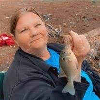 Sandra Lee Llerena Obituary