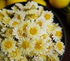 Chrysanthemum High Amounts Of B Carotene Vitamin C Contain Calcium And Iron The Tea Is Used In Chine Chrysanthemum Tea Herbal Teas Recipes Chrysanthemum