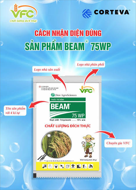Beam® 75WP