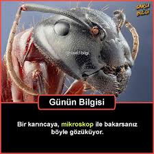 Pin On Ilginc Bilgiler
