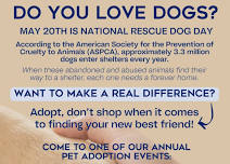 Pet Adoption Event