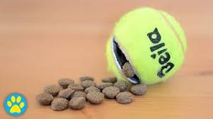 Maybe you would like to learn more about one of these? 6 Diy Dog Puzzle Toys Challenging Toys You Can Make At Home