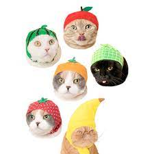 Cat Cap Fruit Blind Box In 2021 Cats With Hats Cats Cat Hat