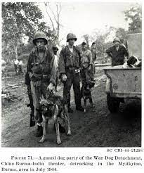 War Dogs One Of The Most Famous War Dogs Was Rags The War Dogs Military Working Dogs Military Dogs