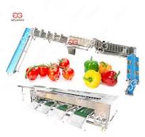 High Efficiency Fresh Chili Colour Sorter Machine for Red Fresh Pepper  Color Sorting Machine Dry Chili Color Sorter Machine