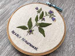Stitch count is 128h x 185w coded for dmc & bates threads this pattern was clipped from a magazine. Deadly Nightshade Hand Embroidery Pdf Pattern Poisonous Plants Digital Pattern Witch Herbs Magical Pdf Pattern Witch Embroidery Hand Embroidery Hand Embroidery Pattern Embroidery