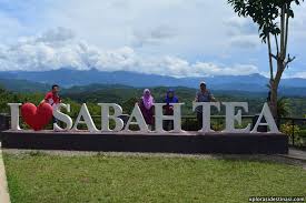 Tempat menarik di sabah, kota kinabalu. Ladang Teh Sabah Tea Jom Bersiar Siar Disekitar Ladang Teh Xplorasi Destinasi