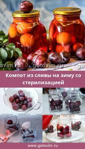 с морковью и луком классический рецепт лечо с луком Kompot Iz Slivy Na Zimu So Sterilizaciej Recept S Foto Sliva Kompot Konservirovanie Idei Dlya Blyud Eda