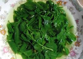 Cara mengolah daun kelor menjadi teh . 5 Resep Dan Cara Mengolah Daun Kelor Gampang Dan Sehat Untuk Tubuh