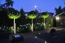 tuinverlichting bestellen goedkoop zuinig en prachtig licht letsleds nl tuin ideeen tuin tuinverlichting ideeen