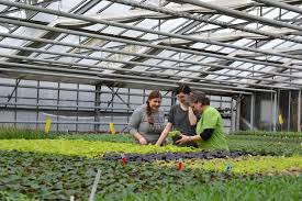 Gartenbau firma mit köpfchen firma kopp.langjährige erfahrungswerte,natursteinaarbeiten, schwimmteiche.auswahl,sehen ausstellung in koblenz metternich guido kopp landschaftsbau gartengestaltung entwurf u. Ausbildung Grunflachenwesen