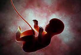 How Does A Baby Breathe In The Womb