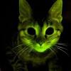 He is a vicious and ravenous glutton who serves as a recurring enemy to bugs bunny and daffy duck. 1