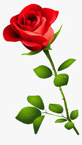 Single Long Stem Rose Drawing Pink Rose Image Hd Hd Png Download Transparent Png Image Pngitem Phool gulab ka on wn network delivers the latest videos and editable pages for news & events, including entertainment, music, sports, science and more, sign up and share your playlists. stem rose drawing pink rose image hd