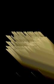 Image result for Droguetia ambigua