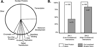 Applications Of Organelle Db A Organelle Db Is A Useful