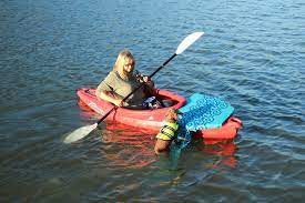 Now that you have learned the best kayak for dogs, you will be able to bring your trusted companion to the waters. Custom Designed Deck With Folding Ramp To Allow Small Dog To Remount The Kayak After They Dive Into The Water Kayaking With Dogs Kayak Accessories Kayaking