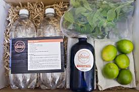 Mango Mojito Cocktail Kit Includes Manila Mango Puree Club Soda Limes Mint Available For Local Delivery Mango Puree Cocktail Ingredients Mango Mojito