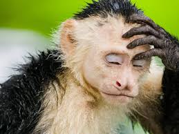 Costa Rica women's photography retreats and excursions