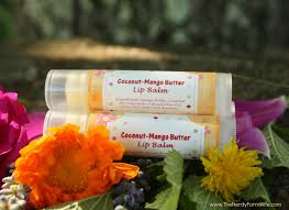 Lip Balm Recipe With Beeswax And Coconut Oil Chapstick
