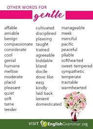 Other Words For Gentle Writing Words Book Writing Tips English Writing Skills