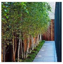 Taman pun dapat dibedakan menjadi 2 (dua) macam yaitu taman alami dan taman buatan manusia. 21 Desain Taman Rumah Sederhana Minimalis Depan Dan Belakang