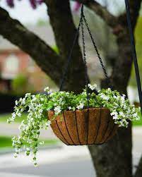 Check spelling or type a new query. Master Garden 14 Metal Grower S Hanging Basket At Menards