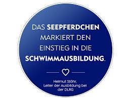 Dlrg baderegeln in über 30 sprachen. Seepferdchen Alle Infos Zum Ersten Schwimmabzeichen Nivea