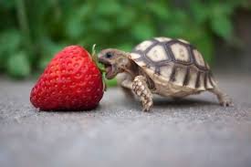Pin On Adorable