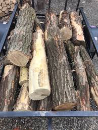 Black locust is unsurpassed as firewood for wood stoves; Black Locust Galore Part Ii Firewood Hoarders Club