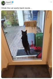 Pin By Aquila Calvitium On Hermitcraft In 2020 Cute Funny Animals Funny Animals Animals