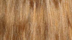 The single mutation was found in a long gene sequence yet the mutation also seemed to be linked to normal variations in hair color. Blonde Hair Mutation Identified Iflscience