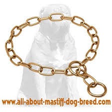 Buy Curogan Dog Fur Saver Mastiff Choke Chain Collar