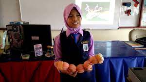 #cikgucaer #cikgootube haiwan imaginasi dan buku telur tahun 5 (bahasa melayu). Sains Tahun 5 Haiwan Imaginasi Popi Youtube