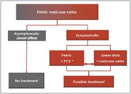 Duplex Ultrasound Investigation In Pelvic Congestion Syndrome Technique And Results Servier Phlebolymphologyservier Phlebolymphology