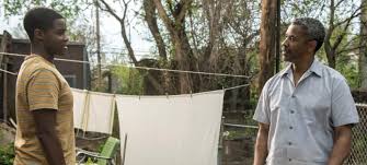 The bureau of genetic welfare doesn't want people to wander out of the city and discover them. Building Fences World News Group