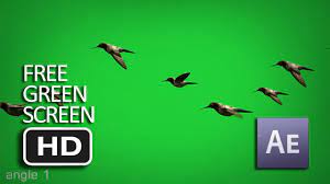 Free Green Screen Flying Birds Animated Moving Hd Free Green Screen Greenscreen Birds Flying