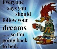 Going Back To Bed Funny Quotes Quote Morning Lol Funny Quote Funny Quotes Humor Good Morning Funny Pictures You Funny Funny Quotes