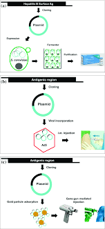Biotechnology Discoveries And Their Applications In Societal Welfare Springerlink