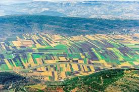 الجليل الاسفل فلسطين photo city photo aerial