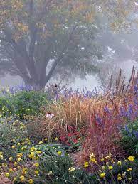 Plano Prairie Garden November Wir Mochten Uns Bedanken Wenn Sie Teilen Mochten Bedanken Ga Native Plant Landscape Prairie Garden Texas Native Plants