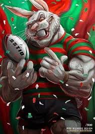 Pin By Jared Schnabl On Souths Men Womens Rugby League Rugby National Rugby League Rugby League National Rugby League Rugby