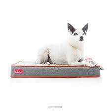 brindle waterproof designer memory foam pet bed you can find more details by visiting the image link note i memory foam pet bed foam pet bed medium dog bed